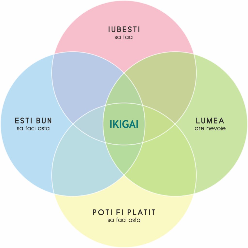 ikigai test 2